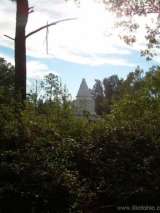 florida_splendid_08-161.html