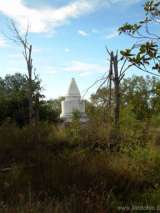 florida_splendid_08-162.html
