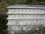 florida_splendid_08-164.html