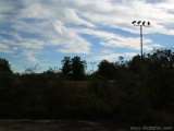 florida_splendid_08-165.html