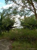 florida_splendid_08-166.html