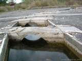 florida_splendid_08-172.html