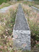florida_splendid_08-174.html