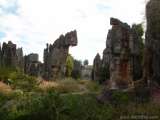 florida_splendid_08-179.html