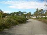 florida_splendid_08-210.html