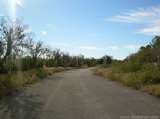 florida_splendid_08-211.html