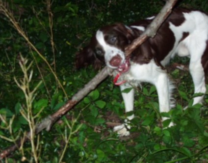 Max with stick