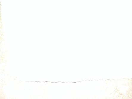 strange photo