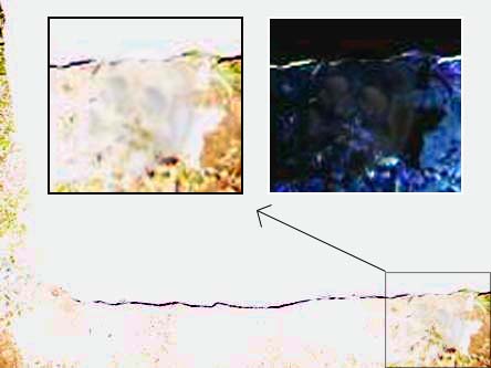 modified photo