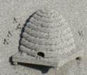 beehive