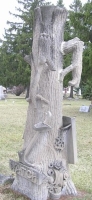 tree trunk