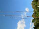 Bainbridge_ohio_gapfiller-5.html
