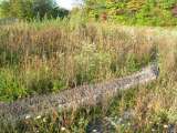 Brookfield_AFS_Oct_2007-124.html