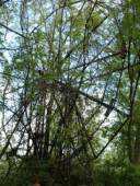 2005_1_Dcao0007.html