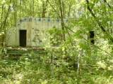 2005_1_Dcao0100.html