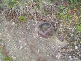 Coraopolis_Nike_Oct_2007-14.html