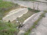 Coraopolis_Nike_Oct_2007-17.html