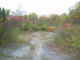 Coraopolis_Nike_Oct_2007-1.html