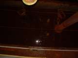 Elrama_Nike_Oct_2007-23.html