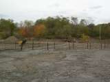 Elrama_Nike_Oct_2007-26.html
