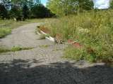 Castle_Sept_2007-211.html