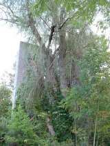 Castle_Sept_2007-239.html