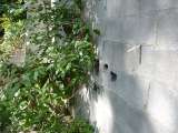 Castle_Sept_2007-242.html