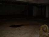 Irwin_Nike_Oct_2007-20.html