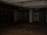 Irwin_Nike_Oct_2007-26.html