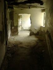 Dcao0019_2.html