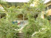 Dcao0033_2.html
