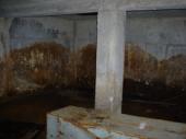 Dcao0055_2.html