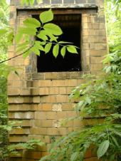 Dcao0063_2.html