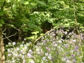 Dcao0072_2.html