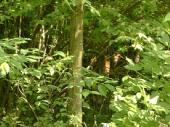 Dcao0073_2.html