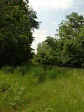 Dcao0075_2.html