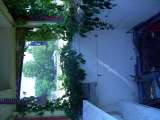 Midway_2007_056-1.html