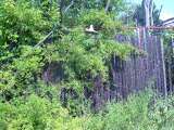 Midway_2007_059-1.html