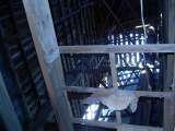 Midway_2007_084-1.html