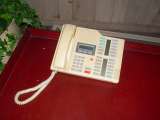 miketyson07-108.html