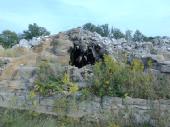 Dcao1185.html