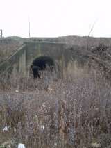 pb_lake_erie_rr_jan08-105.html