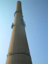 rex_s_erection_originals-32.html