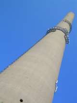 rex_s_erection_originals-37.html