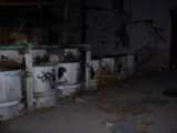 DCAO0031.html