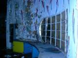 whislnd06img522.html