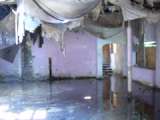 whislnd06img523.html