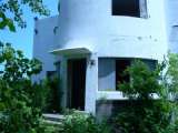 whislnd06img536.html