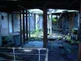whislnd06img541.html