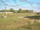 DSCN0871.html